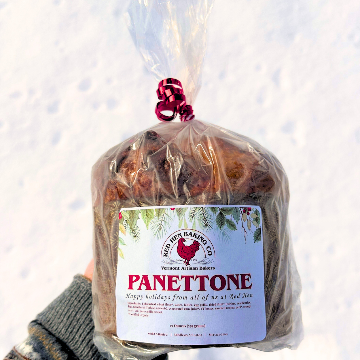 Extra Large Fruit Panettone